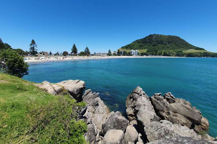 2/3 Puriri Street Mount Maunganui_19