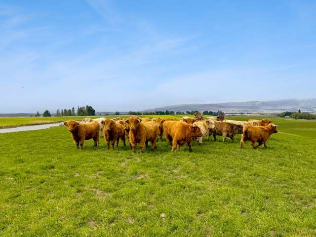 Bypass Road Ranfurly_1