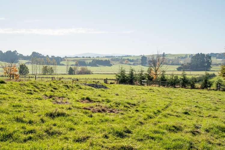 89C Mckinnon Road Mcnab_15