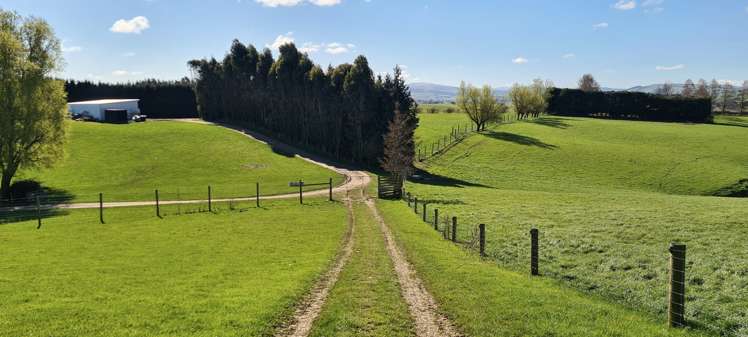 526 Turnbull Road Gore Surrounds_10