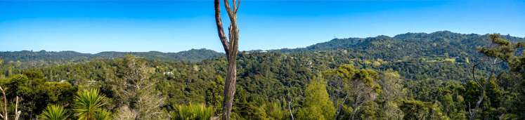 220 Forest Hill Road Waiatarua_20