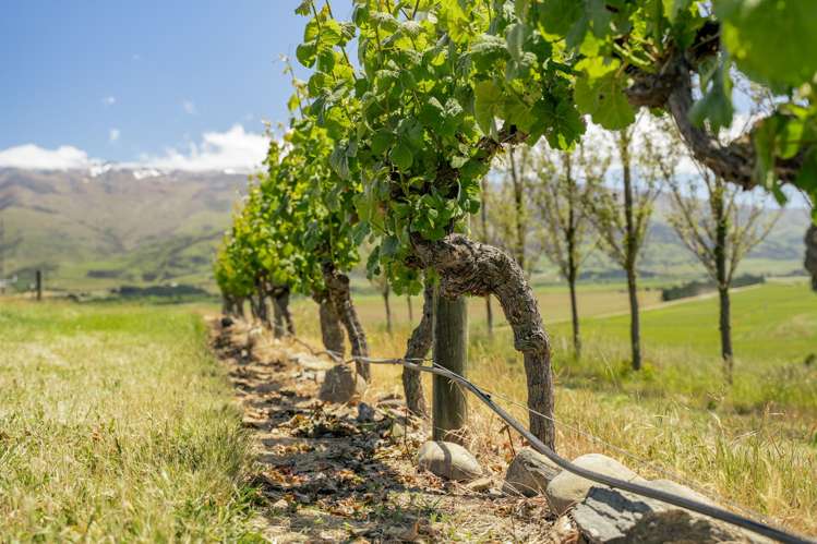 370 Bendigo Loop Road Bendigo_4