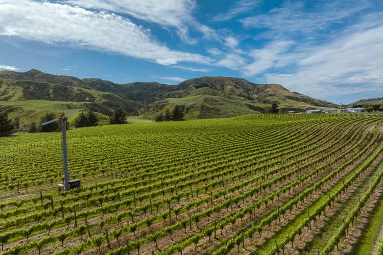 7797 State Highway 1 Ward_0