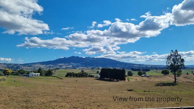 294 Bell Road Pirongia_1