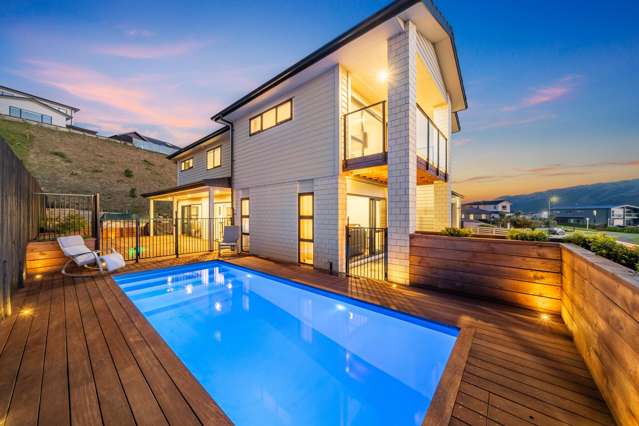 111 Queen Charlotte Drive Aotea_1