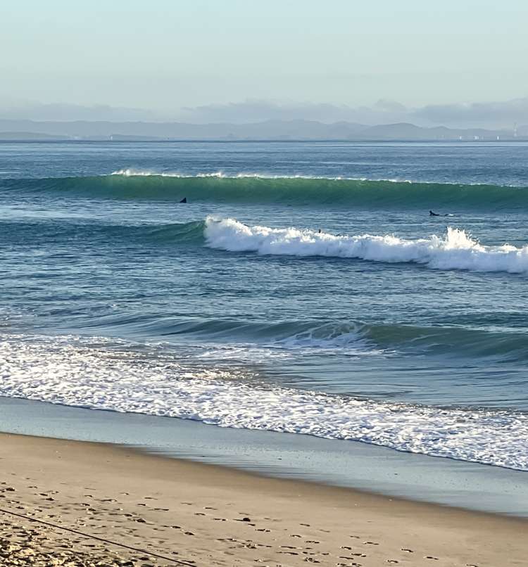 43 Palmer Road Waipu_32