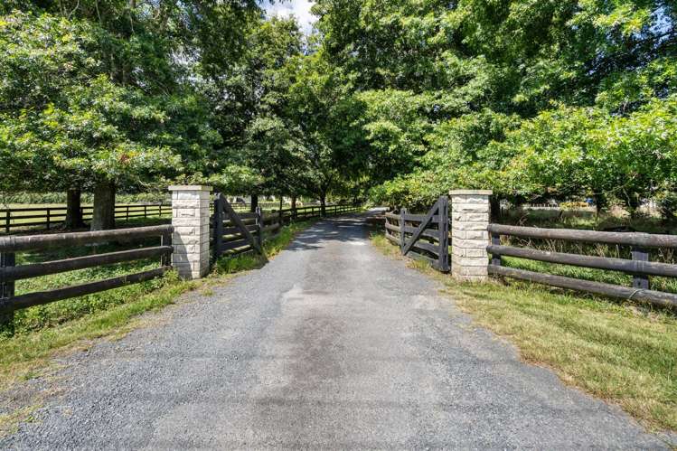 58 St Kilda Road Cambridge_26