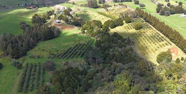 5631 State Highway 12 Kaikohe_1