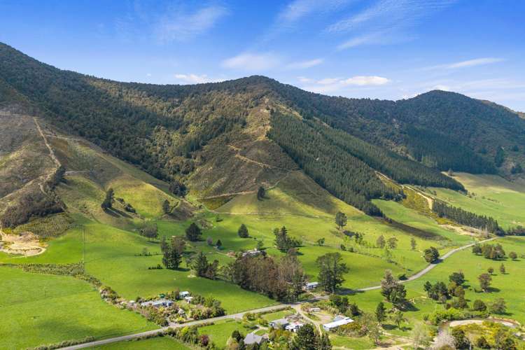 650 Ronga Road Rai Valley_32