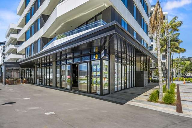 223 Greenlane West Epsom_1