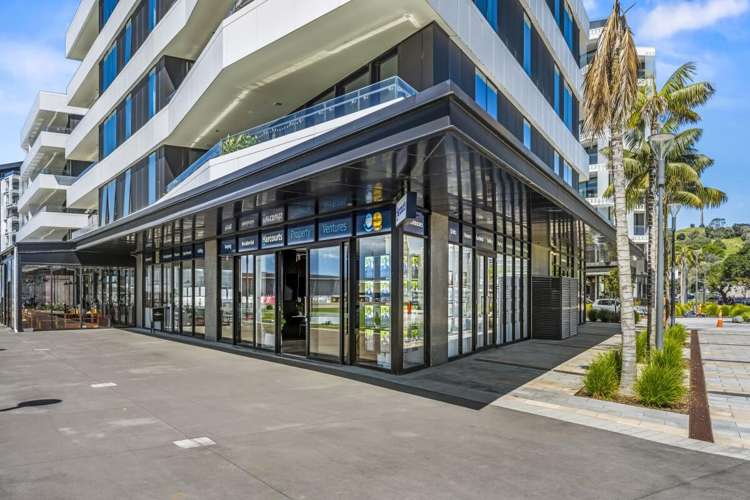 223 Greenlane West Epsom_1