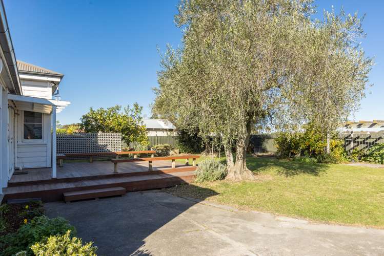 28 Nelson Crescent Napier South_23