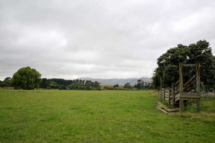 97 Stafford Street Shannon_4