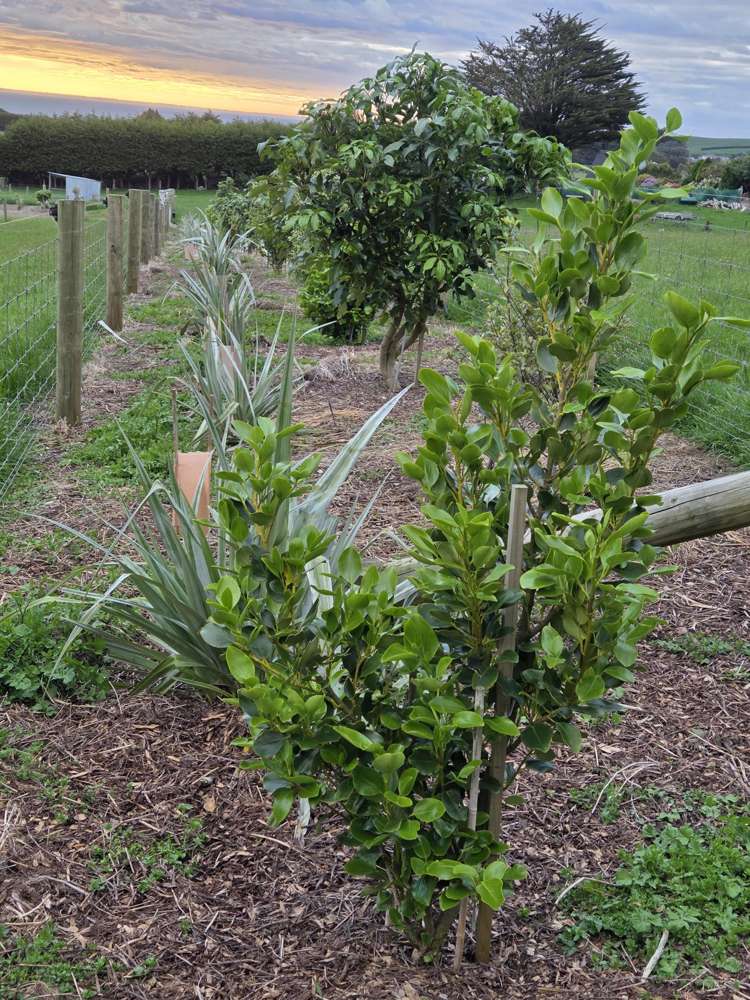 151 Church Street Riverton_12