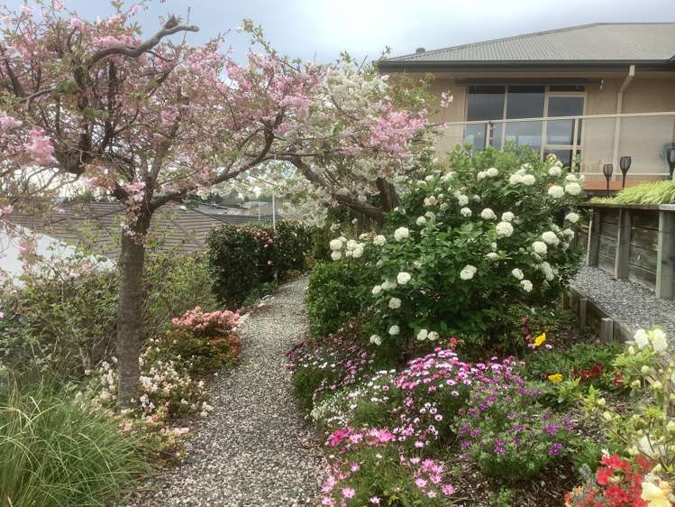 6 Norfolk Place Stoke_25