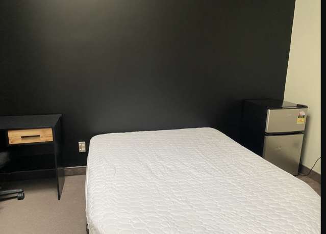 146 Vivian Street 2185_4