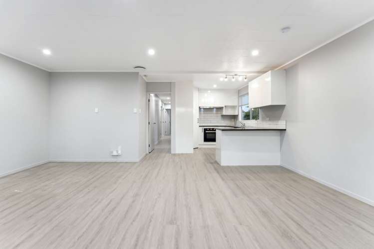 68 Finlayson Avenue Clendon Park_12