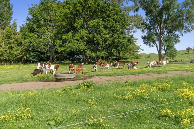 301 Matarawa Road Kinleith_12