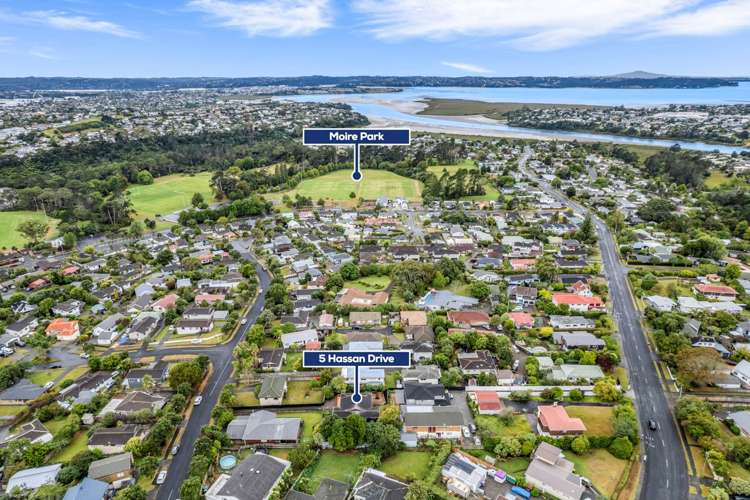 5 Hassan Drive Massey_17