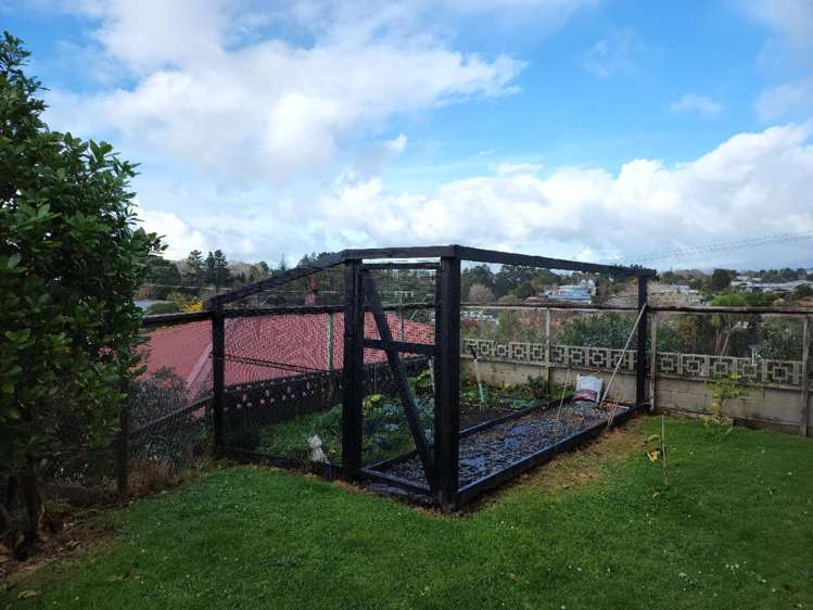 41 Waimea Street Westown_15