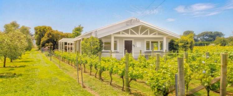 49 Oxford Street Martinborough_28
