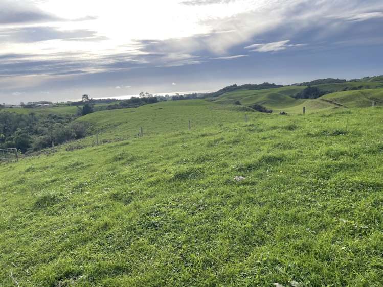 319 Dover Road Okato_11