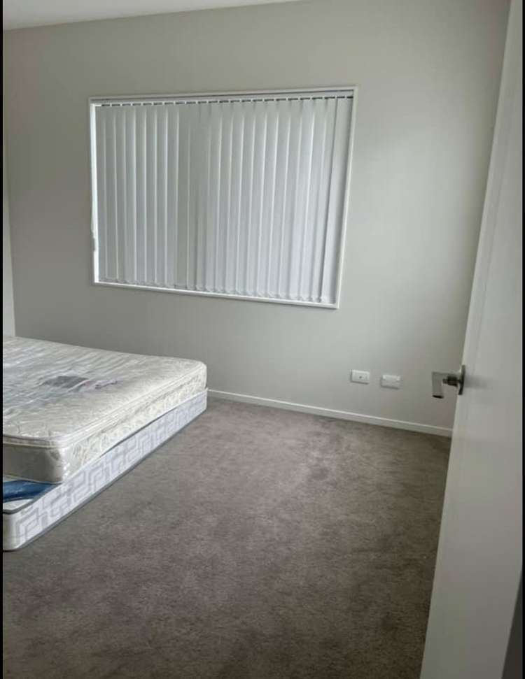 56 Donegal Park Drive Flat Bush_8