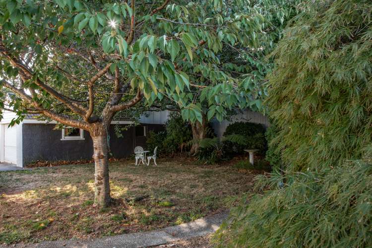 3 Mckenzie Terrace Carterton_19