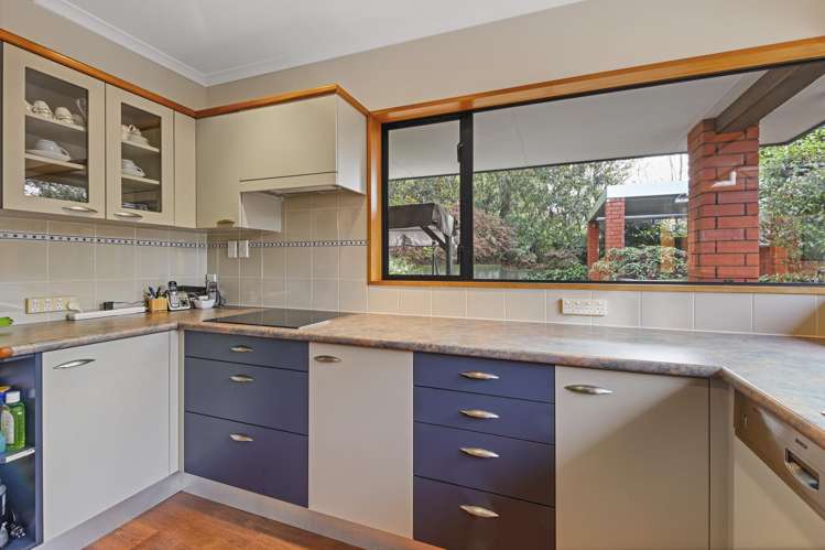 25 Gunns Crescent Cashmere_10