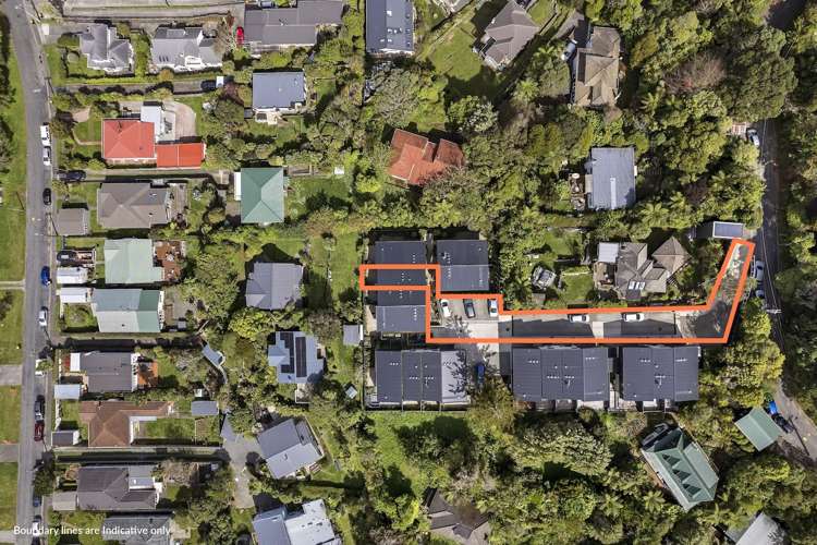14 Ara Toutouwai Karori_22