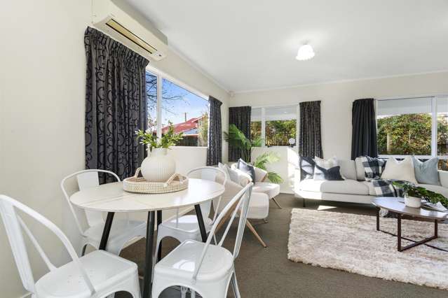 17A Fitzherbert Street Alicetown_3