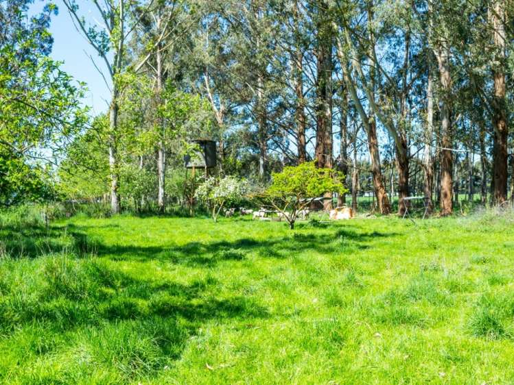 178 Main North Road Geraldine_16