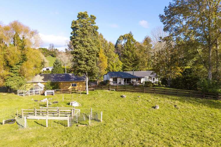 1082 Mapara Road Kinloch_22