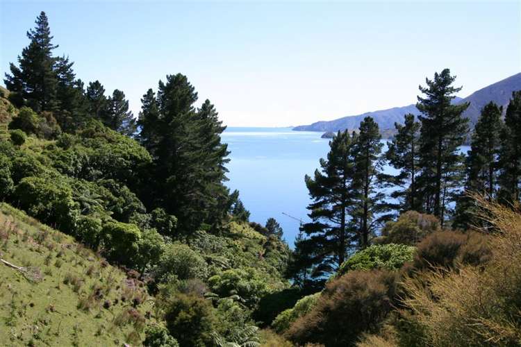 Admiralty Bay Marlborough Sounds_8