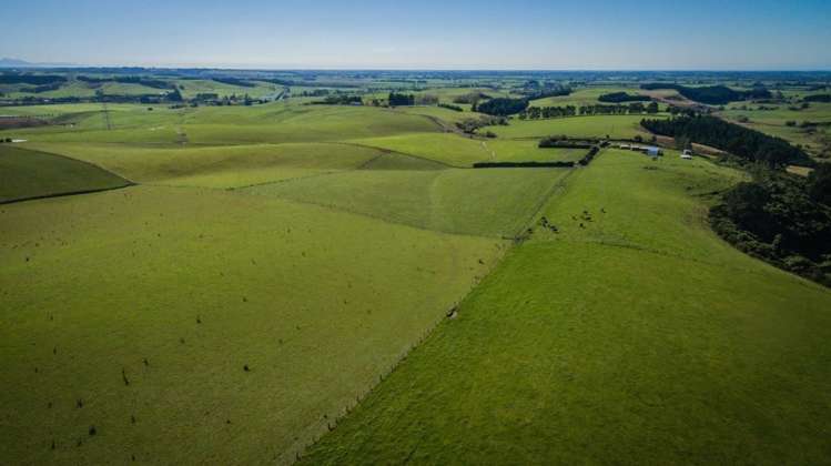 147 Fletcher Road Geraldine_7