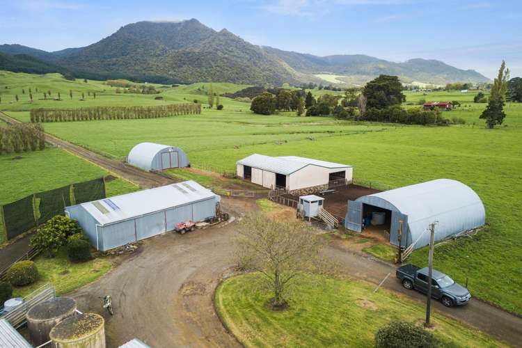 1369 Te Aroha-Gordon Road Manawaru_18