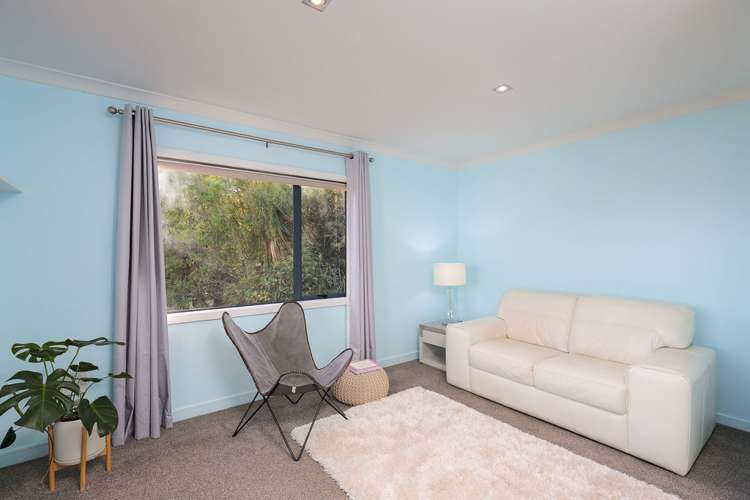 1 Kamahi Way Tahunanui_4