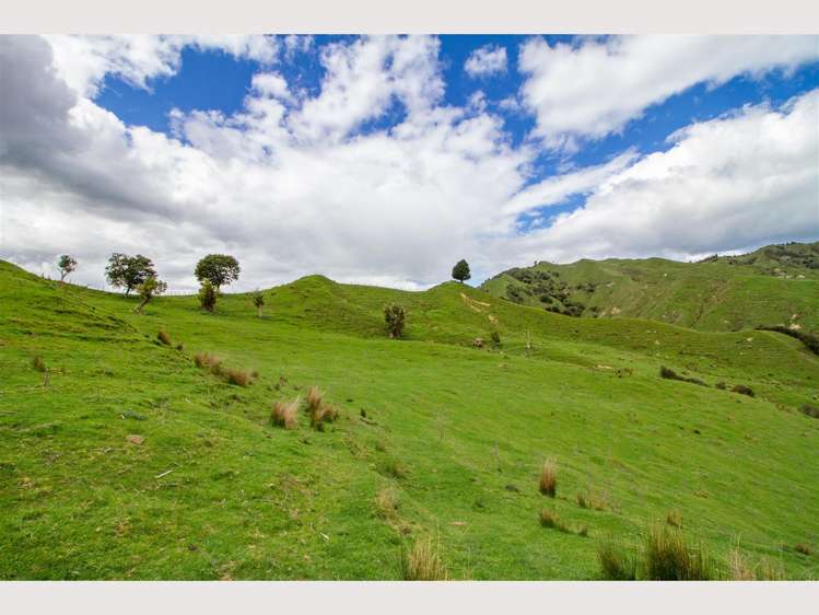 368 Kirikau Valley Road Ruapehu_10