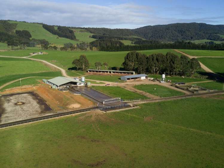 380 Matheson Road Catlins Surrounds_6