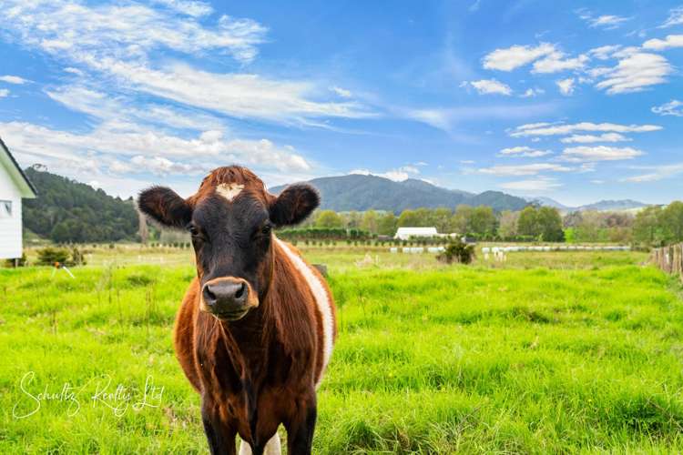 32a Swamp Road Mareretu_33