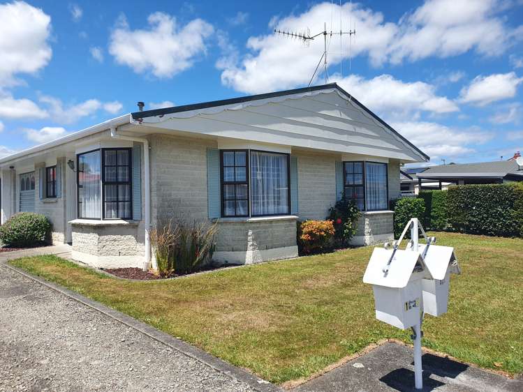 102 Winchester Street Levin_10