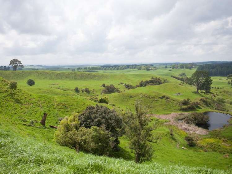 438 Waotu South Road Putaruru_33