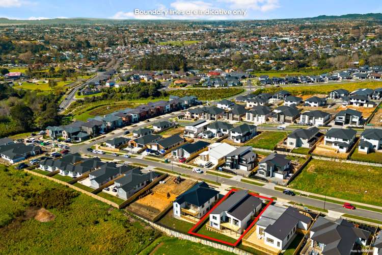 10 Kauri Gum Rise Swanson_21