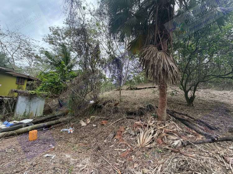Address withheld Savusavu_14