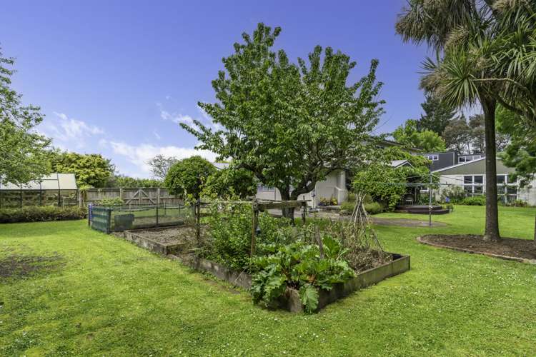 191 Upper Manaia Road Upper Plain_24