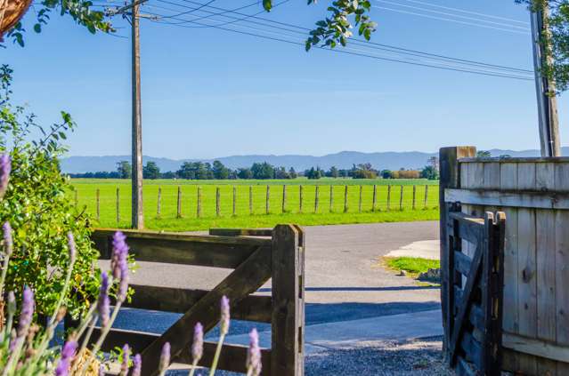 53a Ferry Road Martinborough_3