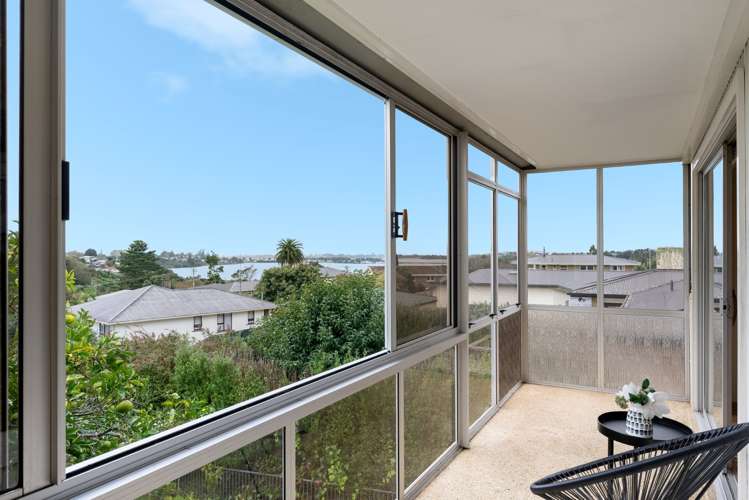 47 Harrier Street Parkvale_6