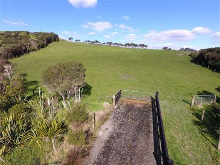 47 Hauora Lane Waitoki_2