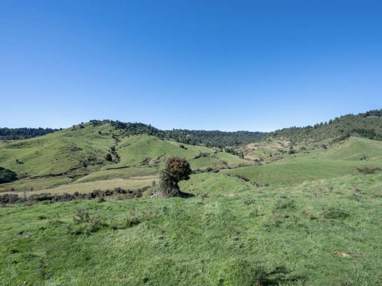 Kaitieke Road Owhango_14