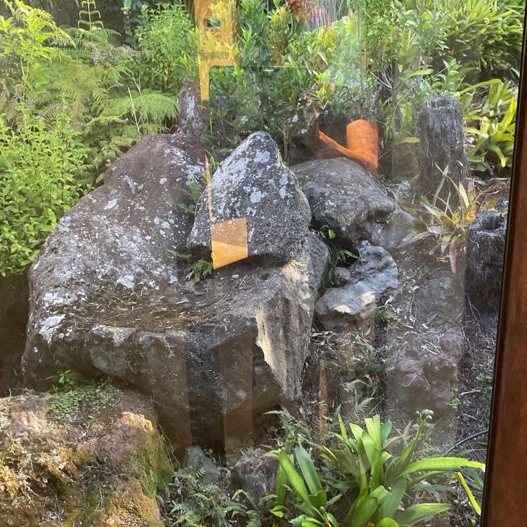 18A Beach Street Sandspit_13